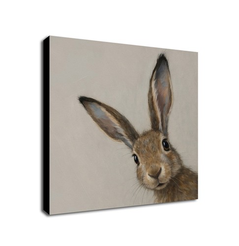 Curious hare animal - curious, art
