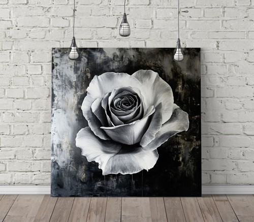 Black and white rose - black,