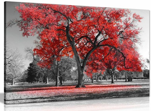 Large tree red leaves black - tree,