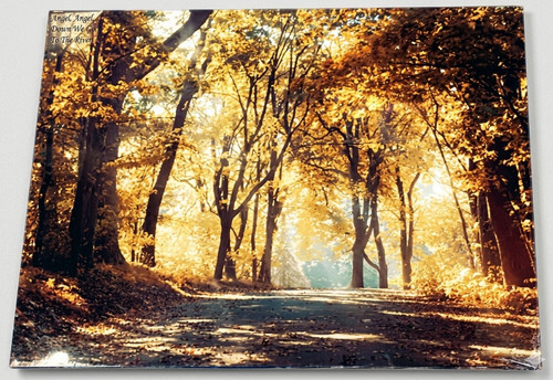 Large woodland forest - forest, trees