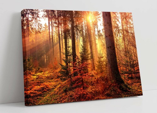 Autumn woods canvas wall art - 1,