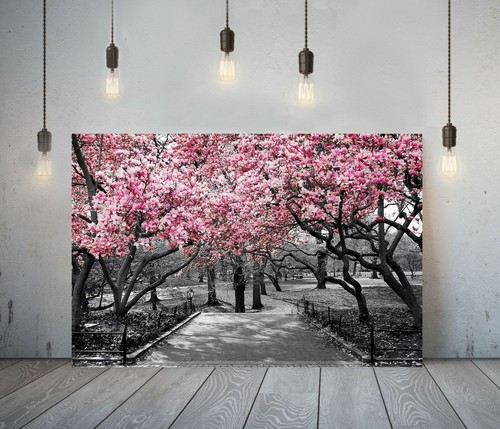 Floral blossom deep framed - -deep,