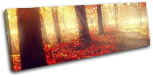 Autumn leaves fall woodland - autumn,