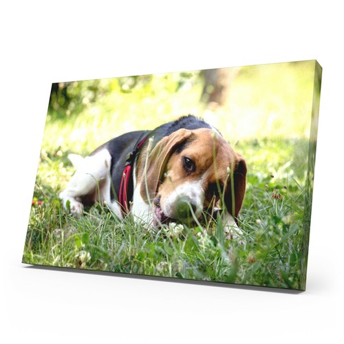 Personalised photo canvas - personalised,