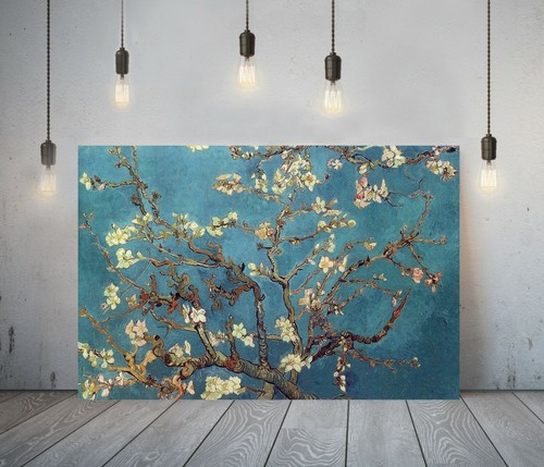 Van gogh almond - gogh,