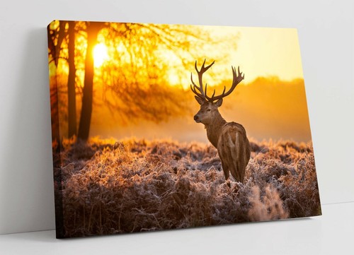 Stag large canvas wall art - canvas,
