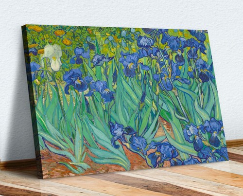 Van gogh irises - gogh,